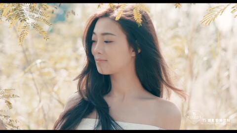 国产ts王恩琦视频,演绎经典，传承国风魅力