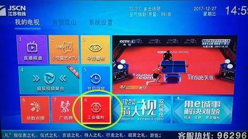 兔费国产福利视频,免费畅享视听盛宴